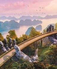 世界杯第14日看点-世界杯第14日看点，激情与悬念交织的绿茵盛宴